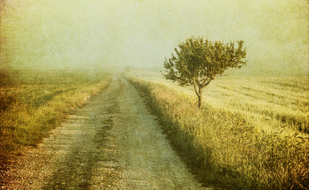 grunge image of a tree over vintage backgroundの写真素材