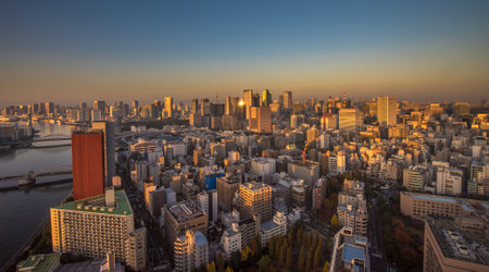 Tokyo aerial panoramic viewのeditorial素材