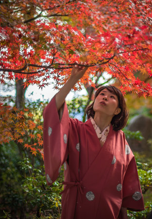 KYOTO, JAPAN - November, 18, 2014: Young japanese girl admiring maple trees, momiji season in Kyotoのeditorial素材