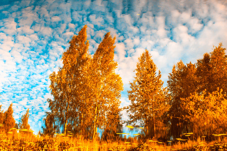 autunm trees reflecting in the waterの写真素材