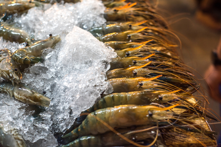 shrimps at fishmarketの写真素材