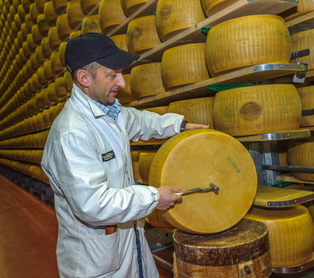 PARMA, ITALY - March, 10, 2014: Parmesan cheese quality test by battitore, master graderのeditorial素材