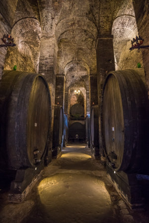 Wine barrels in a Montepulciano cellar, Tuscanyのeditorial素材