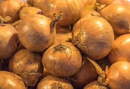 Fresh onions backgroundの写真素材