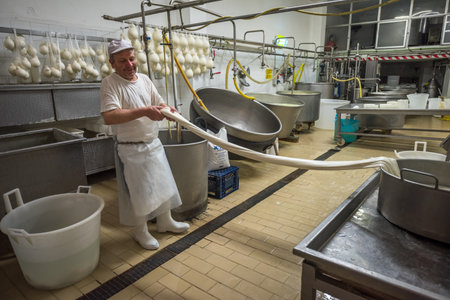 GRAVINA IN PUGLIA, ITALY - June, 13, 2015: Caciocavallo cheese making in Puglia, Italyのeditorial素材