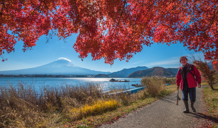 KAWAGUCHIKO LAKE, JAPAN - November, 24, 2014: Fisherman at Kawaguchiko lake with Mount Fuji and autumn maple leaves,  Japanのeditorial素材