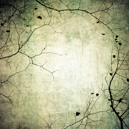 grunge frame with tree silhouettesの写真素材