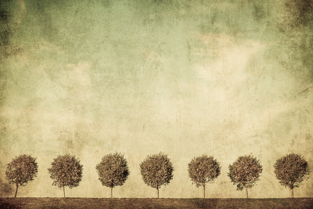 grunge image of treesの写真素材