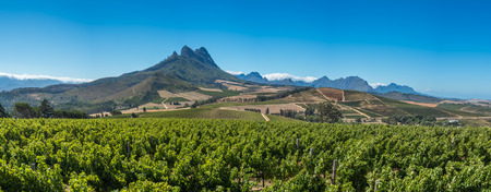 Beautiful landscape of Cape Winelands, wine growing region in South Africaの写真素材