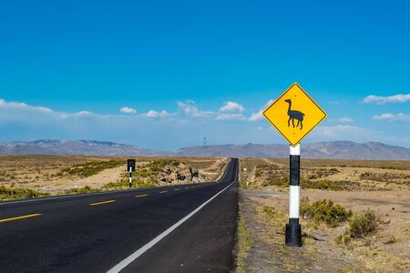 Lama crossing road sign in Peru, South Americaの写真素材