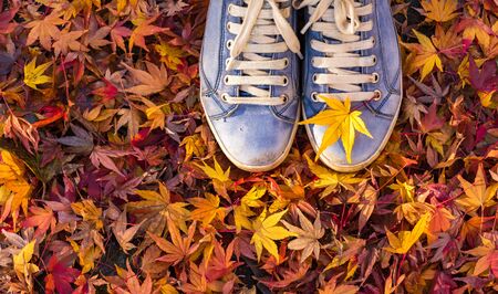 Autumn season in hipster style shoes