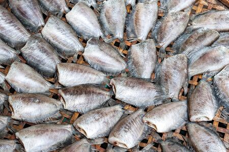 fresh fish at a market in bangkok,thailand
の写真素材