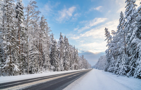 Panoramic view of snow-covered forest highway.の写真素材