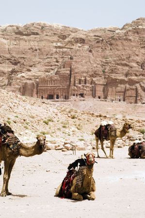 Tourist vacation in nabatean town Petra, beduins experience, Jordanの写真素材