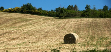 Vacation in rural area of Italy at summerの写真素材