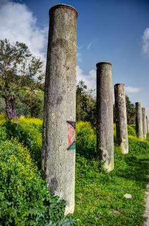 Sebastia ancient israel excavation on palestinian territoryの写真素材