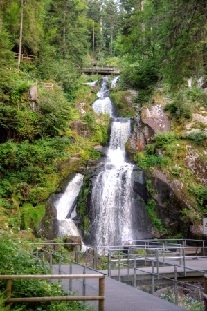 Black forest hiking in summerの写真素材