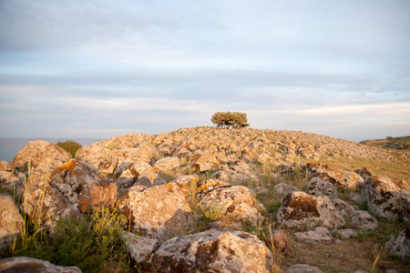 Israel landscape a view to Kineret and stones lake during hikingの写真素材