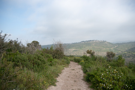 Hiking in Israeli nature landscape with good weather under cloudy skyの写真素材
