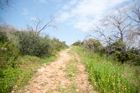 Hiking in Israeli nature landscape with good weather under cloudy skyの写真素材