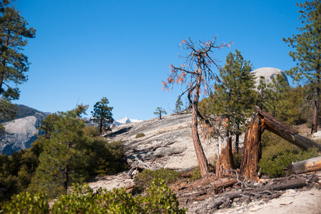 Spring vacation in Yosemite national park hikingの写真素材