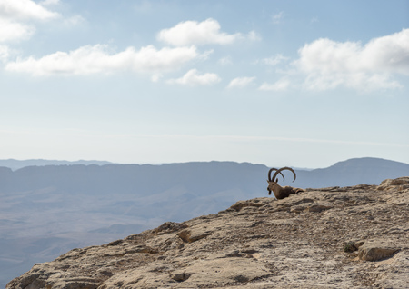 View of ramon crater desert of southern israel during hikingの写真素材
