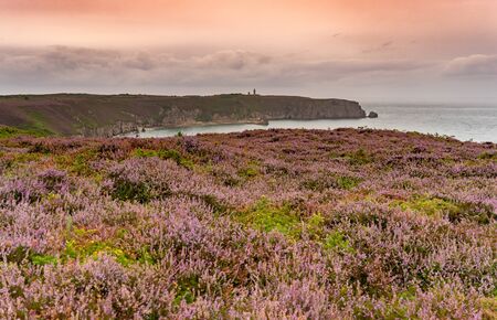 Hiking britanny sea shore vacation tourism for healthの写真素材
