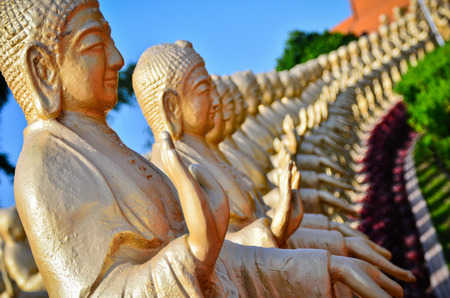 A series of Buddha statues standing in a rowの写真素材