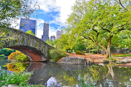 View of Central Park in New York City in autumnの写真素材