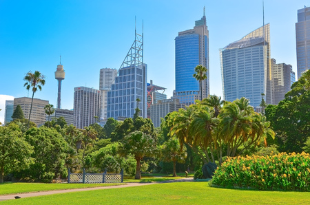 Sydney, Australia - January 23, 2015: View of Sydney skyline from Royal Botanic Gardens in Sydney on January 23, 2015.のeditorial素材