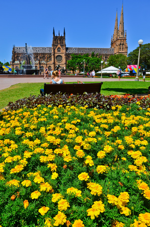 View of the St Mary's Cathedral and Hyde Park in Sydneyのeditorial素材