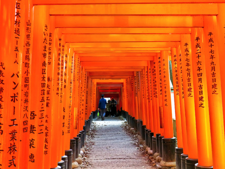 Kyoto, Japan - December 4, 2015: View of the torii path lined with thousands of torii in the Fushimi Inari Taisha Shrine in Kyoto on December 4, 2015.のeditorial素材