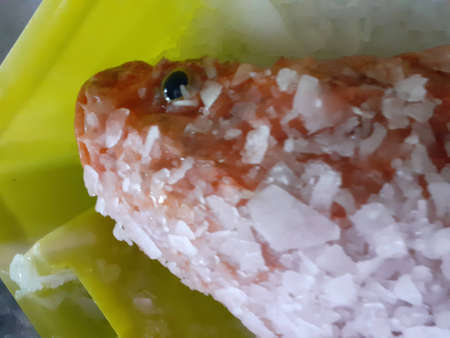 A closeup shot of a red fish on a plate with riceの写真素材