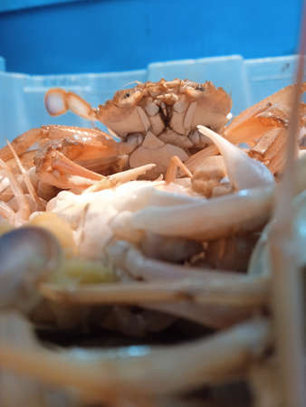 Fresh crab in the market. Close-up. Selective focus.の写真素材