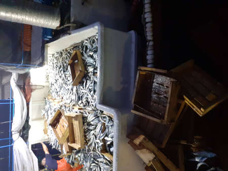 Fish market in the city of Salvador, Bahia, Brazil.の写真素材