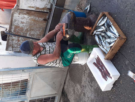 Fisherman sells mackerel in Cartagena, Colombiaの写真素材