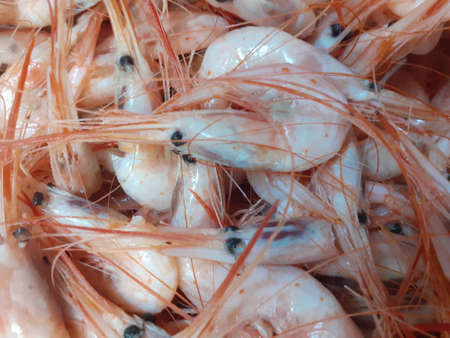 Fresh prawns on the market. Seafood background. Close upの写真素材