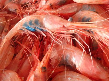 Close up of fresh shrimps for sale at a seafood marketの写真素材
