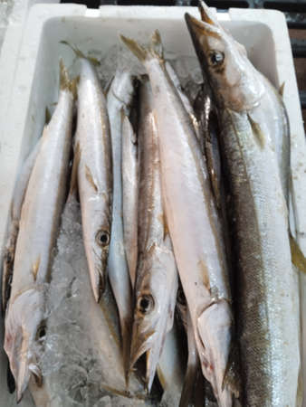 Fresh fish on ice in the market. Seafood. Healthy food.の写真素材