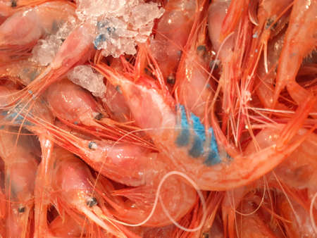 Fresh prawns on ice in the market. Seafood backgroundの写真素材
