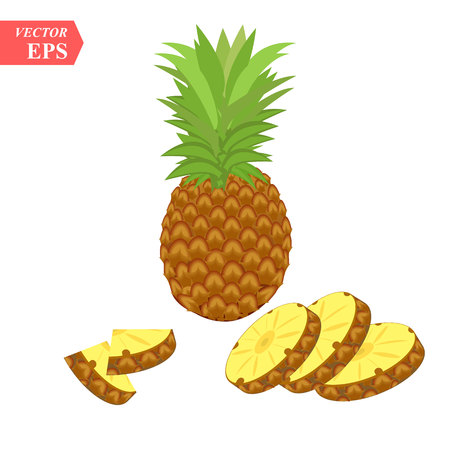 Ripe pineapple with slices isolated on white background. Vector illustration for decorative poster, emblem natural product, farmers market. Perfect for packaging design of cosmetics and food.のイラスト素材