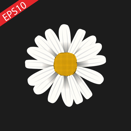 daisy. icon on black background. vector design eps10のイラスト素材