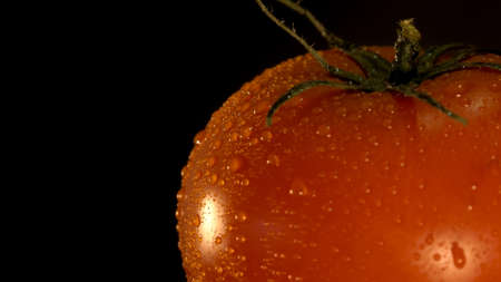 Red tomato with water droplets. Selective focus.