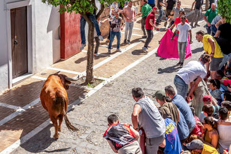 Arcos de la Frontera, SPAIN-April 17, 2022: People run from the bull in the street during Holy Week at the Aleluya festival in Arcos de la Frontera.のeditorial素材