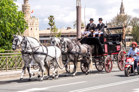 Seville, Spain - May 04, 2022 : Horse carriage heading to the April Fair in Seville, Andalusia, Spain.のeditorial素材