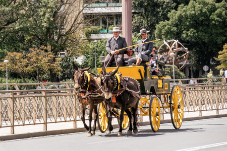 Seville, Spain - May 04, 2022 : Horse carriage heading to the April Fair in Seville, Andalusia, Spain.のeditorial素材