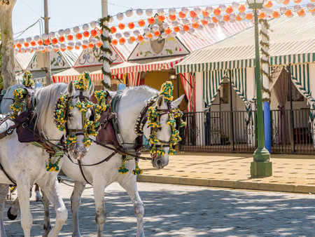 Adorned horses at Seville's April Fair, showcasing vibrant decorations, embodying the event's lively and colorful atmosphere.の写真素材