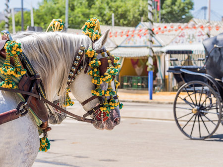 Adorned horses at Seville's April Fair, showcasing vibrant decorations, embodying the event's lively and colorful atmosphere.の写真素材