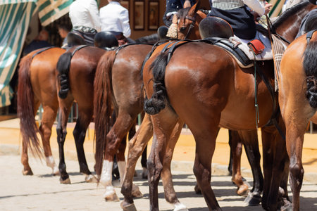 Elegant horses and riders at the vibrant Seville Fairの写真素材