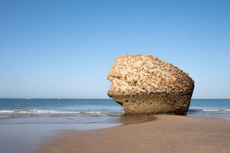 A large, weathered rock on the sandy beach of Matalascañas, under a clear blue sky.の写真素材